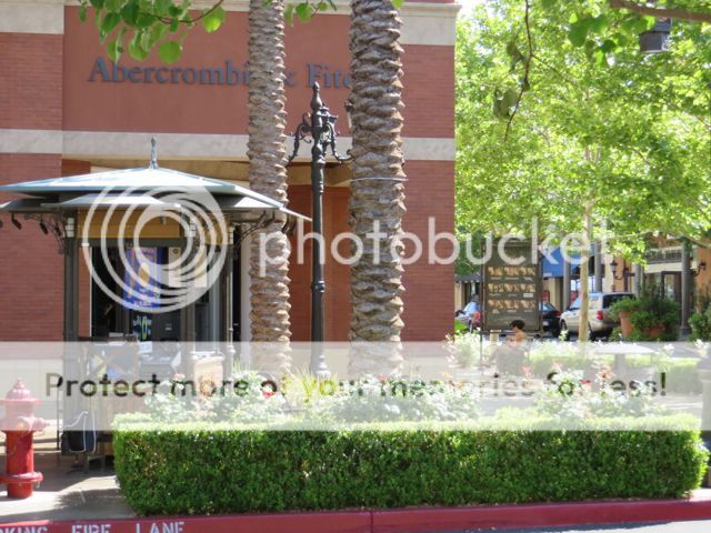 photo IMG_0457_zps2d5becd5.jpg